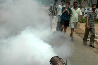 Chikungunya : pulvérisation controversée du malathion