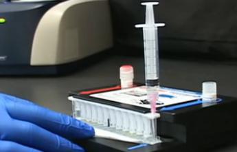Ebola : un test de diagnostic rapide autorisé par les Etats-Unis