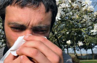Allergies au pollen : la France voit rouge