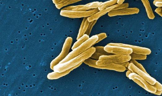 Une nouvel antibiotique efficace contre les bactéries multirésistantes