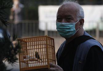 Grippe aviaire : premier décès dû au H7N9 à Hong Kong
