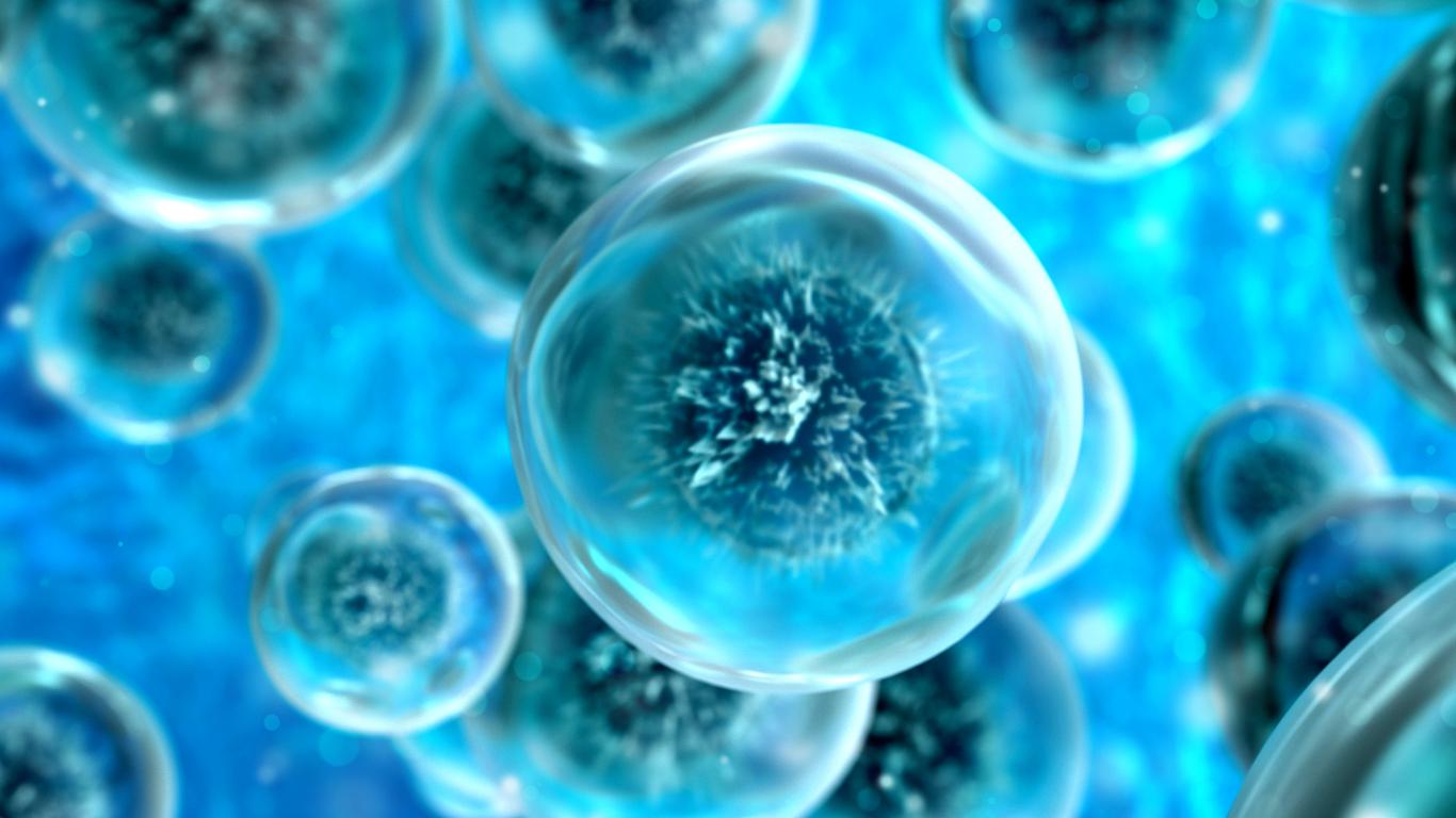 Cancer : des chercheurs reproduisent un mécanisme à l'oeuvre dans la division cellulaire