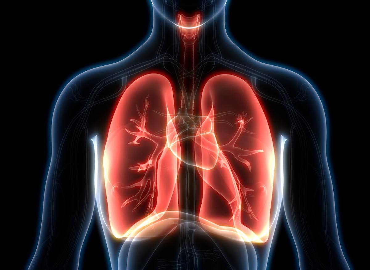 L'arrêt du tabac favoriserait l'apparition de cellules pulmonaires saines