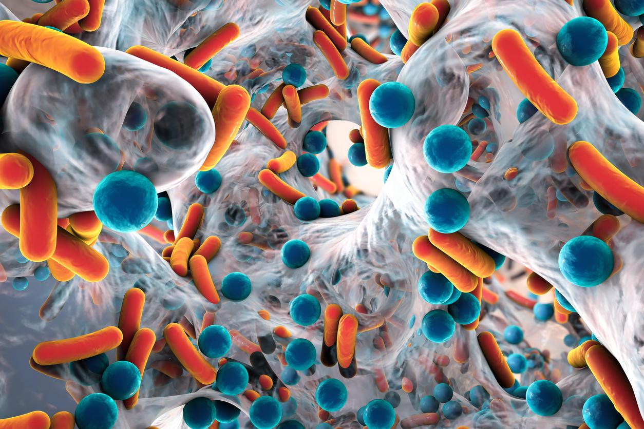 Antibiorésistance : des virus modifiés pour combattre les bactéries résistantes ? 