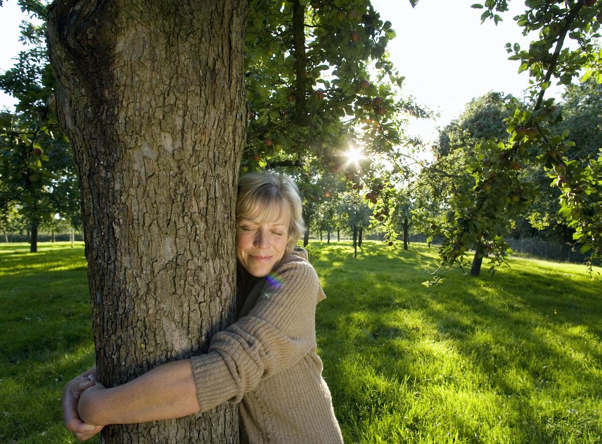 Cet été, améliorez votre santé mentale avec les arbres !