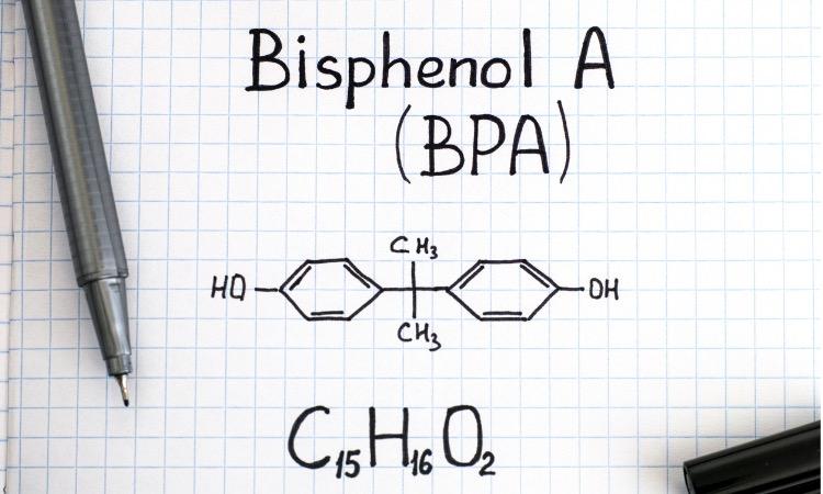 L’exposition au bisphénol A a des conséquences sur plusieurs générations