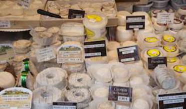 E Coli : retrait d'un fromage de chèvre contaminé
