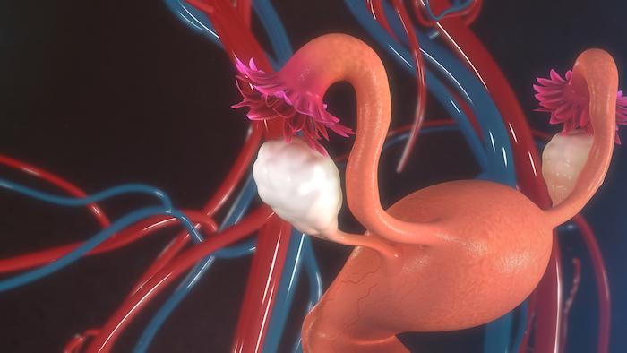 Fertilité : création d'ovaires artificiels pour aider les femmes à avoir des enfants après un cancer