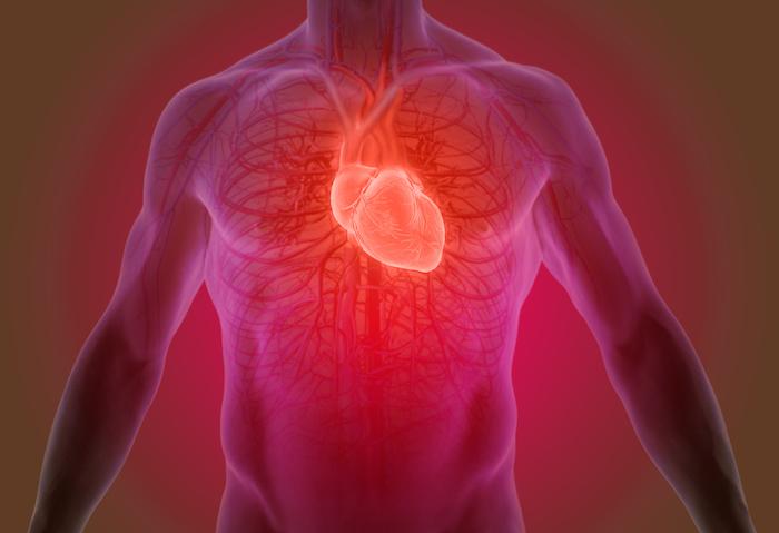 Les cardiaques vivent plus longtemps que les autres