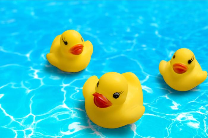 Les canards en plastique dans le bain sont des nids à microbes pour les enfants