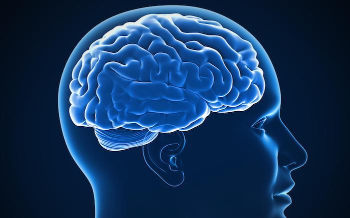 Epilepsie : un enfant de 6 ans soigné grâce à l'ablation d'une partie de son cerveau