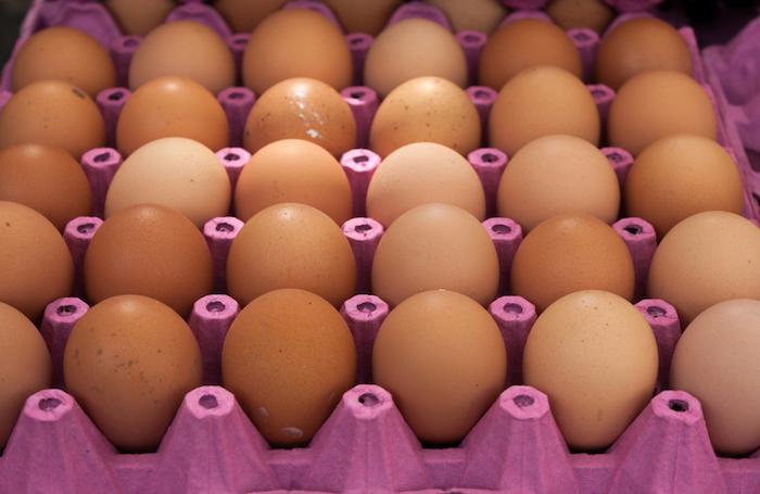 Fipronil : la fraude des œufs contaminés remonte à un an 