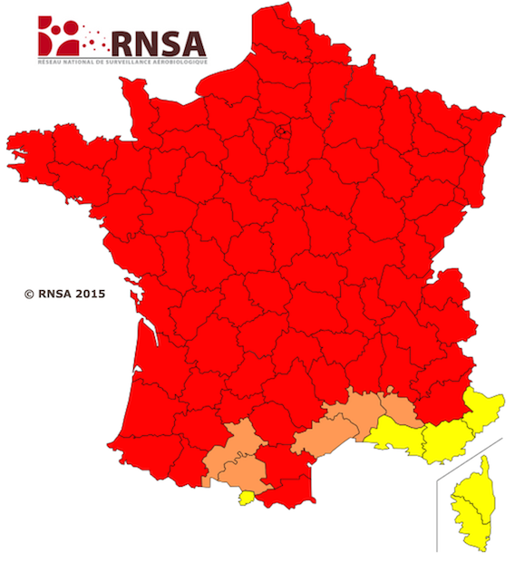 Allergies : toute la France dans le rouge