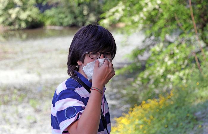 Allergie : la France envahie par les pollens de graminées