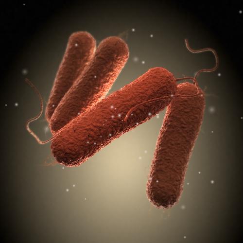 Lait contaminé : 10 points pour tout savoir sur les épidémies de salmonelles