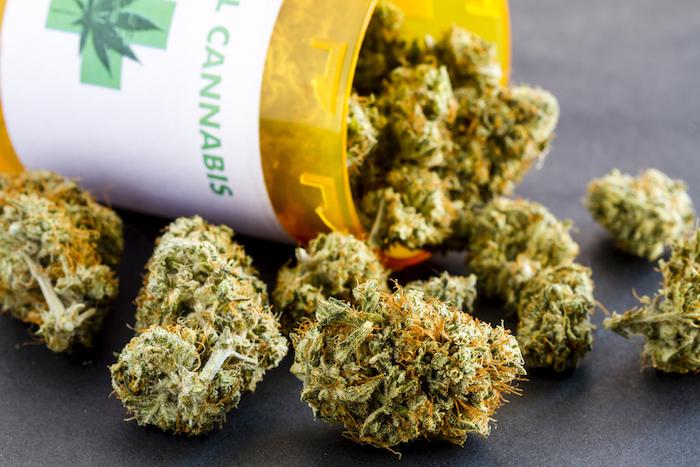 Cannabis thérapeutique : plus de baisse de la mortalité liée aux opioïdes aux USA
