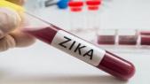 Zika : les demandes d'avortement ont doublé au Brésil