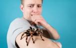 Arachnophobie : cette technique peut vous aider à vaincre votre peur !