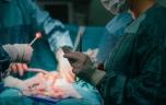 L'utérus d'une femme enceinte extrait puis réimplanté pour traiter un cancer de l'ovaire