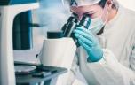 Antibiorésistance : découverte d’une molécule qui désarme les bactéries