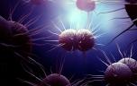 Gonorrhée : un nouvel antibiotique efficace face aux formes résistantes aux traitements 
