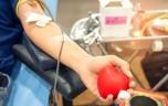 Don du sang : une lettre de remerciement d’un transfusé émeut les internautes