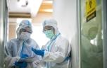 Hantavirus : pourquoi on n’est pas dans la situation de 2020 avec le Covid