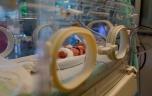 Naissances prématurées : prolonger la ventilation pour favoriser la croissance pulmonaire des bébés