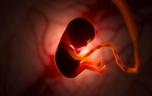 Grossesse : comment les températures impactent le fœtus ?
