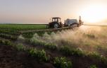 Pourquoi les pesticides sont une menace pour le cerveau des enfants