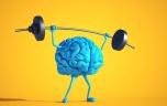 L'activité physique peut-elle freiner le vieillissement du cerveau ?