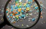 Les microplastiques peuvent-ils provoquer des réactions allergiques ?
