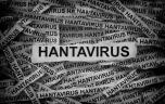 Hantavirus : comment l’Argentine a traité l’épidémie de 2019