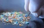 Des microplastiques retrouvés dans des ovaires pour la première fois