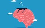Quand le cerveau s’endort éveillé : une nouvelle explication du TDAH ?