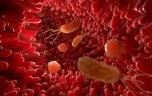 Asthme et allergies : la solution dans le microbiote ?