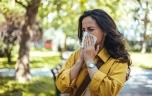 Allergies au pollen : que faire concrètement quand les niveaux grimpent ?