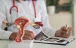 L’utérus pourrait retrouver ses capacités immunitaires après une greffe
