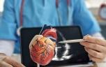 Maladies cardiaques : encore une preuve que le dépistage sauve des vies