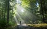 Santé mentale : on sait comment la nature améliore notre bien-être