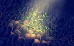 Microbiote : la clé pour détecter les maladies digestives plus tôt ?