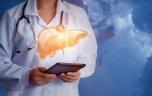 Cancer du foie : l'IA dispense d’examens compliqués pour prédire vos risques 
