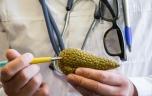 Découverte d’une nouvelle protéine pour le traitement du cancer du pancréas