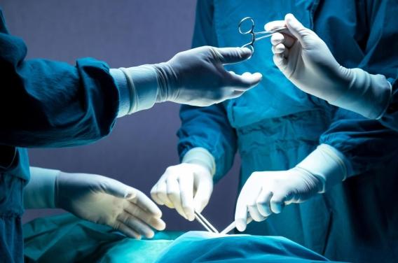 Transplantation : un an après, la greffe de  ...