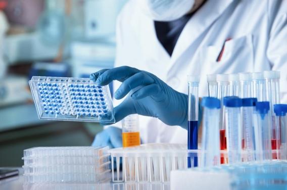 Le virus présent dans les eaux usées en  ...