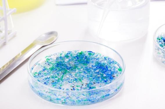 Comment les microplastiques dégradent notre  ...