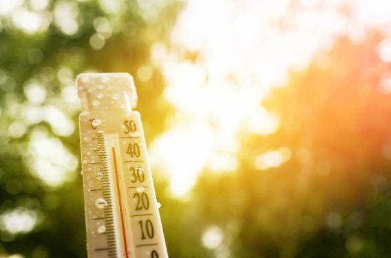 Les températures extrêmes menacent la santé cardiovasculaire 