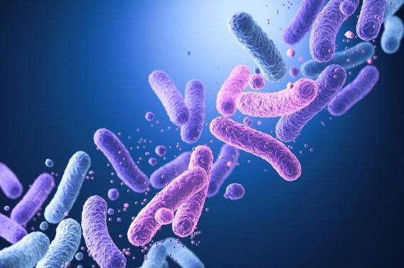 Diabète : notre microbiote cache-t-il la clé du contrôle glycémique ?