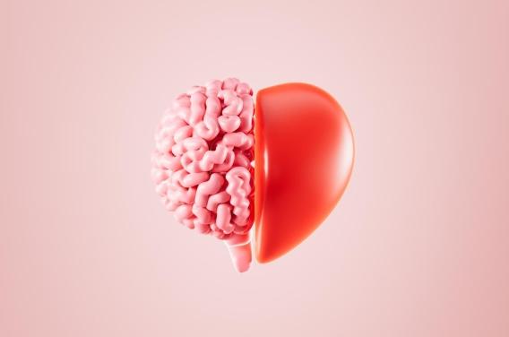 Chez les femmes, la santé mentale accroit le risque cardiovasculaire