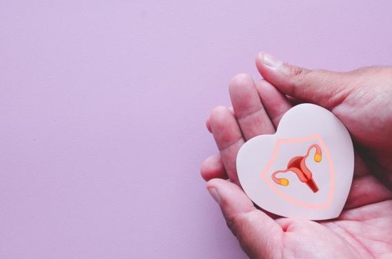 Les fibromes utérins sont liés à un risque accru de maladies cardiaques